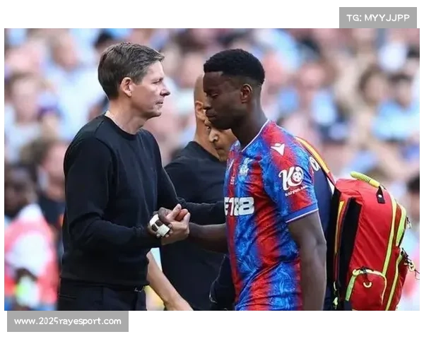 赛前发布会，水晶宫主帅格拉斯纳强调将坚持主动进攻的足球哲学。